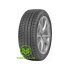 Davanti Wintoura+ 255/35 R19 96V XL