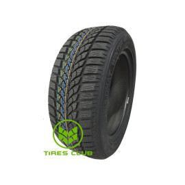 Diplomat Winter HP 225/45 R17 94V XL