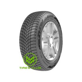 Otani WE-1000 205/65 R15 94H