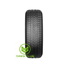 Paxaro Inverno 245/45 R18 100V XL