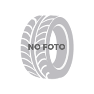 Doublestar WinterKing DW16 255/40 R20 97T
